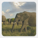 Search for african elephant stickers Kenya
