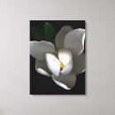 Search for white magnolia canvas prints Nature