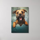 Search for swim design art Animal lover