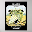 Search for celery posters garden