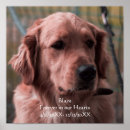 Search for pet memorials Forever in our hearts