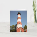 Search for assateague Virginia