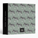 Search for exotic binders Modern