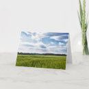 Recherche de champ de maïs vœux cartes Agriculture