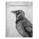 Search for raven notebooks Magic