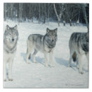 Search for wolves tiles Grey