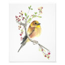 Search for goldfinch posters Bird watcher