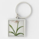 Recherche de lis 1 accessoires Botanique