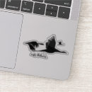 Search for marsh stickers Nature