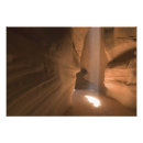 Recherche de tire bouchons posters Arizona