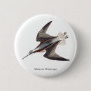 Search for wilson buttons Bird