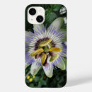 Search for passion flower iphone cases Flowers
