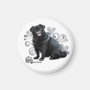 Search for black pug magnets Pugs