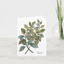 Search for basil cards Green
