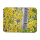 Recherche de le colorado magnets Montagne