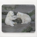Search for ursus mousepads Bears