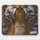 Recherche de yeux tigre tapis souris Animal