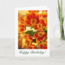 Recherche de souhaits anniversaire cartes Photographie