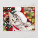 Search for christmas kitten postcards Santa claus