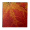 Search for red maple leaf tiles Nature