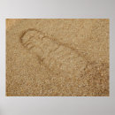 Search for wooden pattern posters Timber