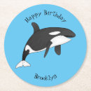 Search for whales coasters Killer whale