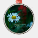 Search for daisy ornaments Nature