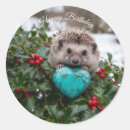 Search for turquoise and red stickers Cute