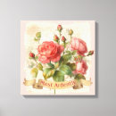 Search for mr darcy Pride and prejudice