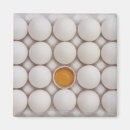 Recherche de nourriture et boisson magnets Vue à angle élevé