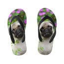 Search for pug shoes Puppy