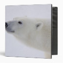 Search for endangered binders Animal