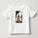 Search for guanajuato tshirts Unesco world heritage site