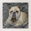 Search for dog breeds puzzles Cute