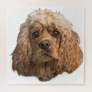 Recherche de cocker puzzles Amoureux des animaux