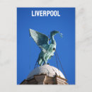 Search for liver bird Scouse