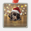 Search for brown dog ornaments Animals