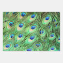 Search for peacock feathers wrapping paper Birds