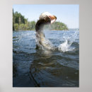 Search for pike fishing posters Lake
