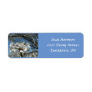 Search for blossom return address labels Summer