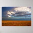 Search for wheat field posters Landscapes