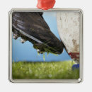 Search for kick ball ornaments Rugby