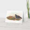 Recherche de cailles vœux cartes Faune