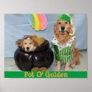 Search for leprechaun posters Irish