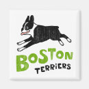 Search for bostons magnets Dog