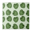 Recherche de palmier carreaux Verdure