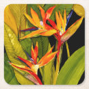 Recherche de oiseaux dessous de verres Fleur