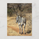 Recherche de le kenya cartes postales Vertical