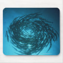 Search for barracuda electronics Animals