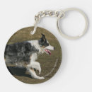 Recherche de border collie porteclés Plomb et pam langrish